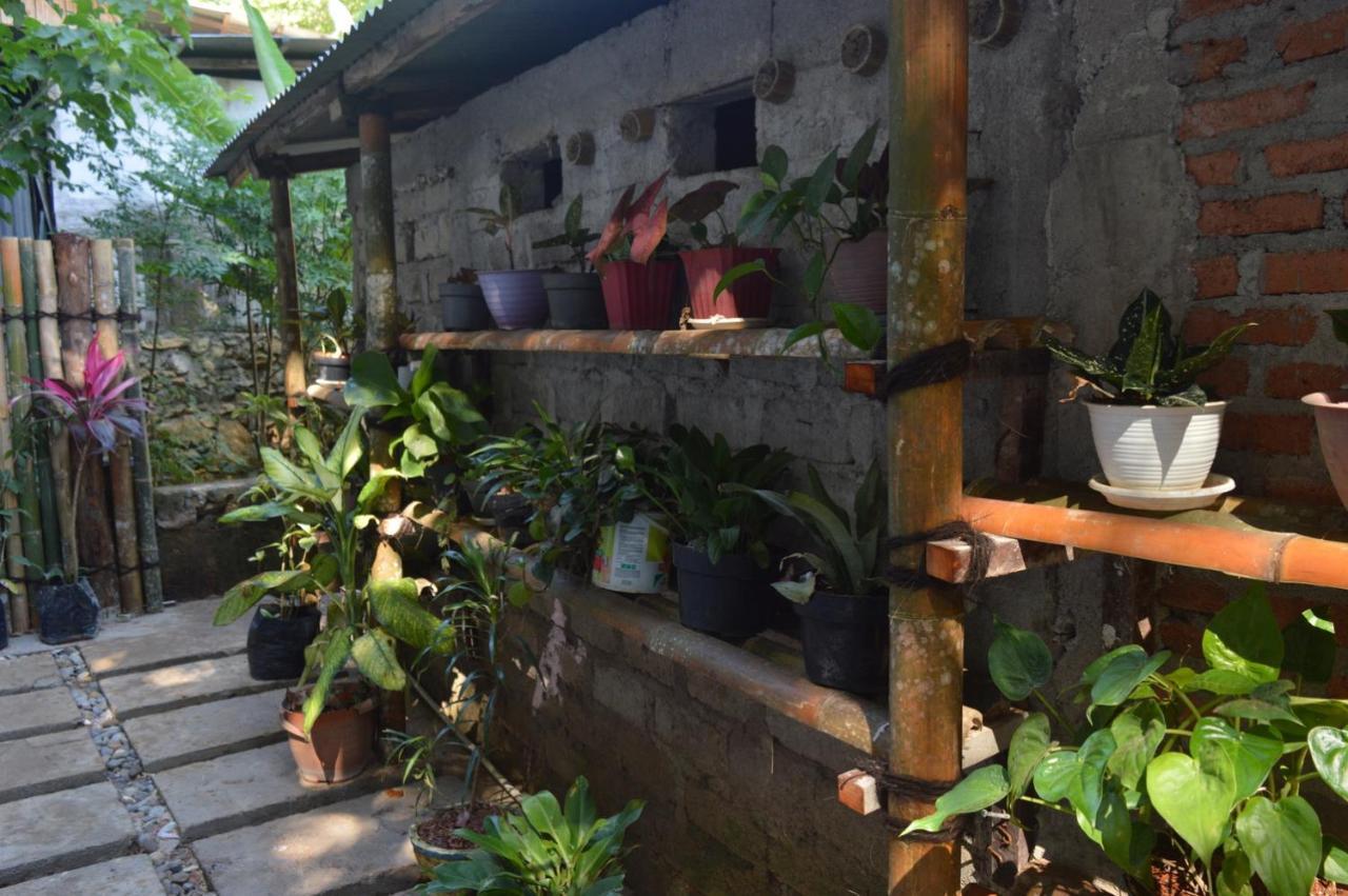 Labuan Bajo Mahoni Guesthouse 외부 사진